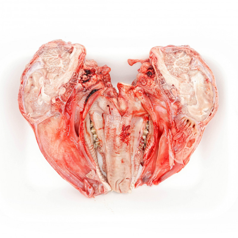 Cabeza de lechal (unidad)