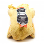 Pato hembra Barbarie de "Las Landas" 