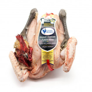 Pollo 100 días de crianza