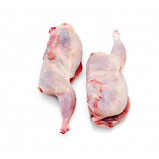 Codornices XL (pieza)