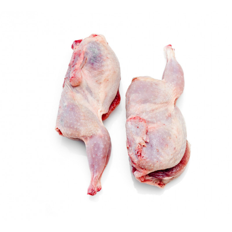 Codornices XL (pieza)