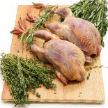 Perdiz autóctona de campo nacional | SERTINA