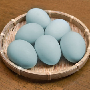 Huevos azules de gallina araucana, 6 unidades | Sertina