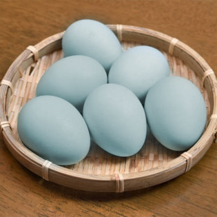 6 Huevos de gallina Araucana (azules)