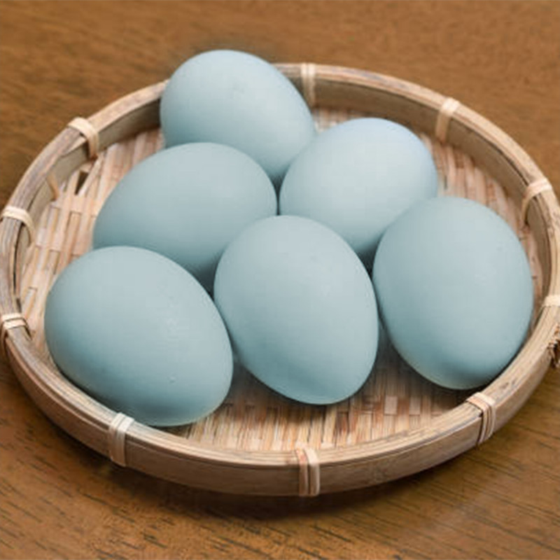 Comprar huevos azules de gallina araucana online l Sertina