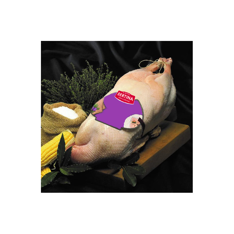 Comprar Oca limpia y lista para asar Online | SERTINA