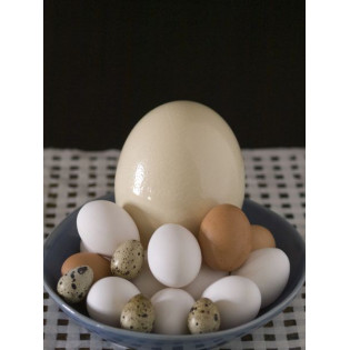 30 Huevos Tamaño M Cat. A. Blancos o morenos.