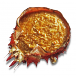 Changurro a la Vasca Gratinado- 1 Ud