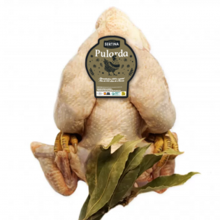 Pularda Criada en Libertad - 150 días | SERTINA