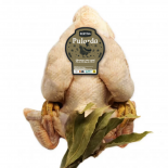 Pularda Criada en Libertad - 150 días | SERTINA