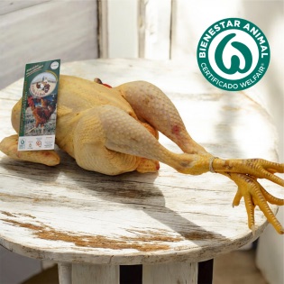 Pollo campero entero de 2,3 kg online. Criado en libertad | Sertina