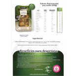 Revuelto de Boletus y Trigueros | Platos Fitness Saludables Valentina