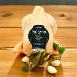 Pularda Criada en Libertad - 70 días | SERTINA
