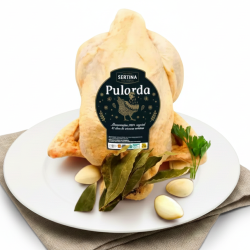 Pularda Criada en Libertad - 70 días | SERTINA