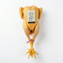 Comprar Pollo Galo Celta Campero | Criado en Libertad en Galicia