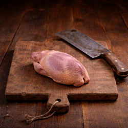 Perdiz autóctona de campo nacional (pieza)