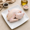 Gallina de campo partida - (2,4 kilogramos)