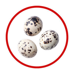 HUEVOS AVES ESPECIALES