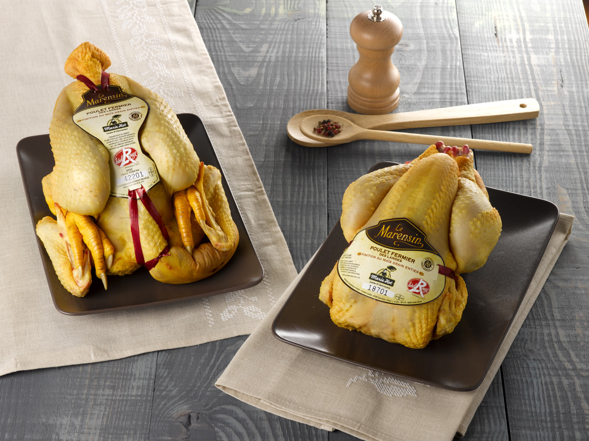 Aves especial Navidad