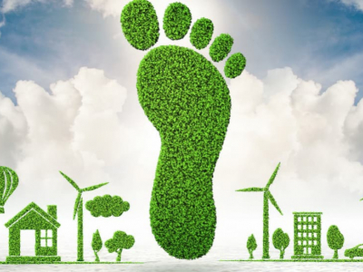 Buenas prácticas en la cría de ganado: reduciendo la huella ambiental 