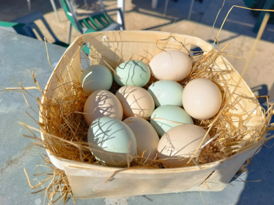 Huevos azules: qué son, su origen y por qué deberías probarlos